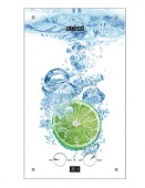 Газовый проточный водонагреватель Zanussi GWH 10 Fonte Glass Lime — фото, характеристики, купить в EJSK-CLIMBO