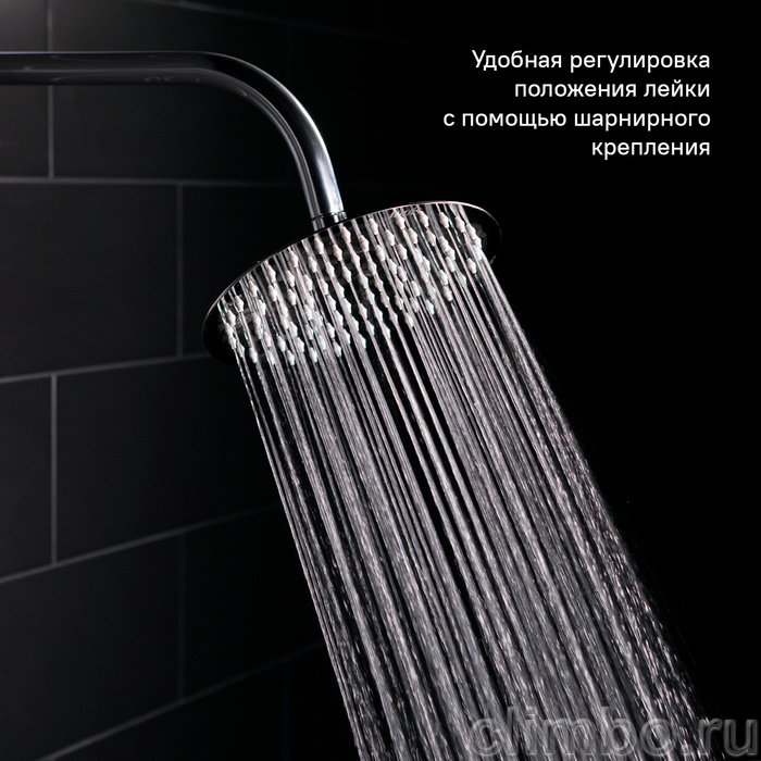 Душевая насадка верхняя круглая, IDDIS, 00320RSi64 — фото товара