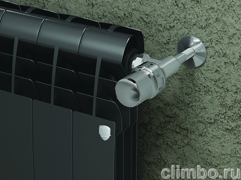 Радиатор Royal Thermo BiLiner 500 Noir Sable - 12 секц. — фото товара